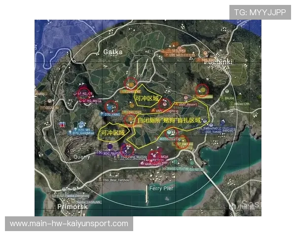 战术解析：支援节奏调整对中期控图影响深度剖析，支援速度