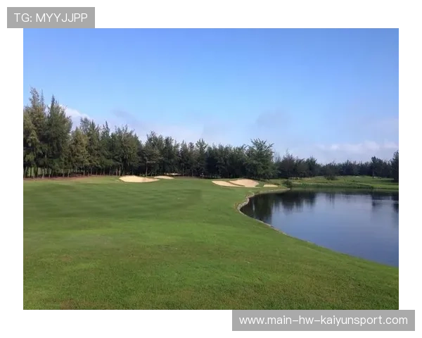 球迷期待海湾者创造冷门奇迹，海湾球场在哪